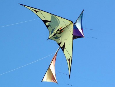 Two of my favorite kites