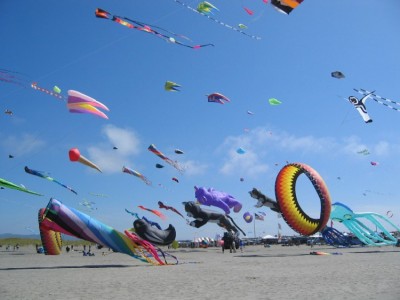 A small corner of the Sky at the Washington State International Kite Festival in Long Beach WA.